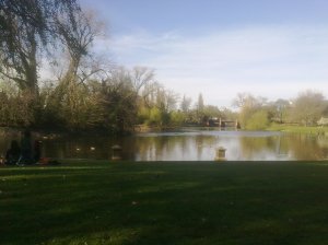 View of the Park View of the Park, photo credit: Leah Osbourne, 2011