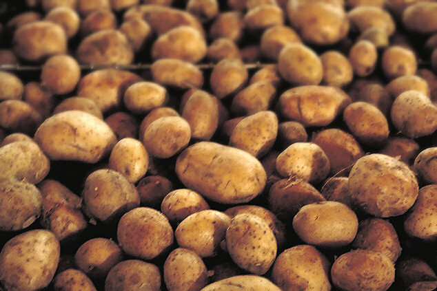 pile of potatoes from wikimedia commons