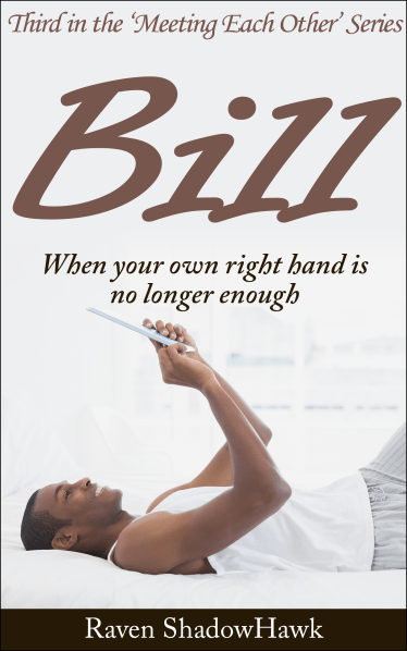 Cover art for Bill, third in the Meeting Each Other Series