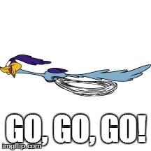 Road runner 'go' meme